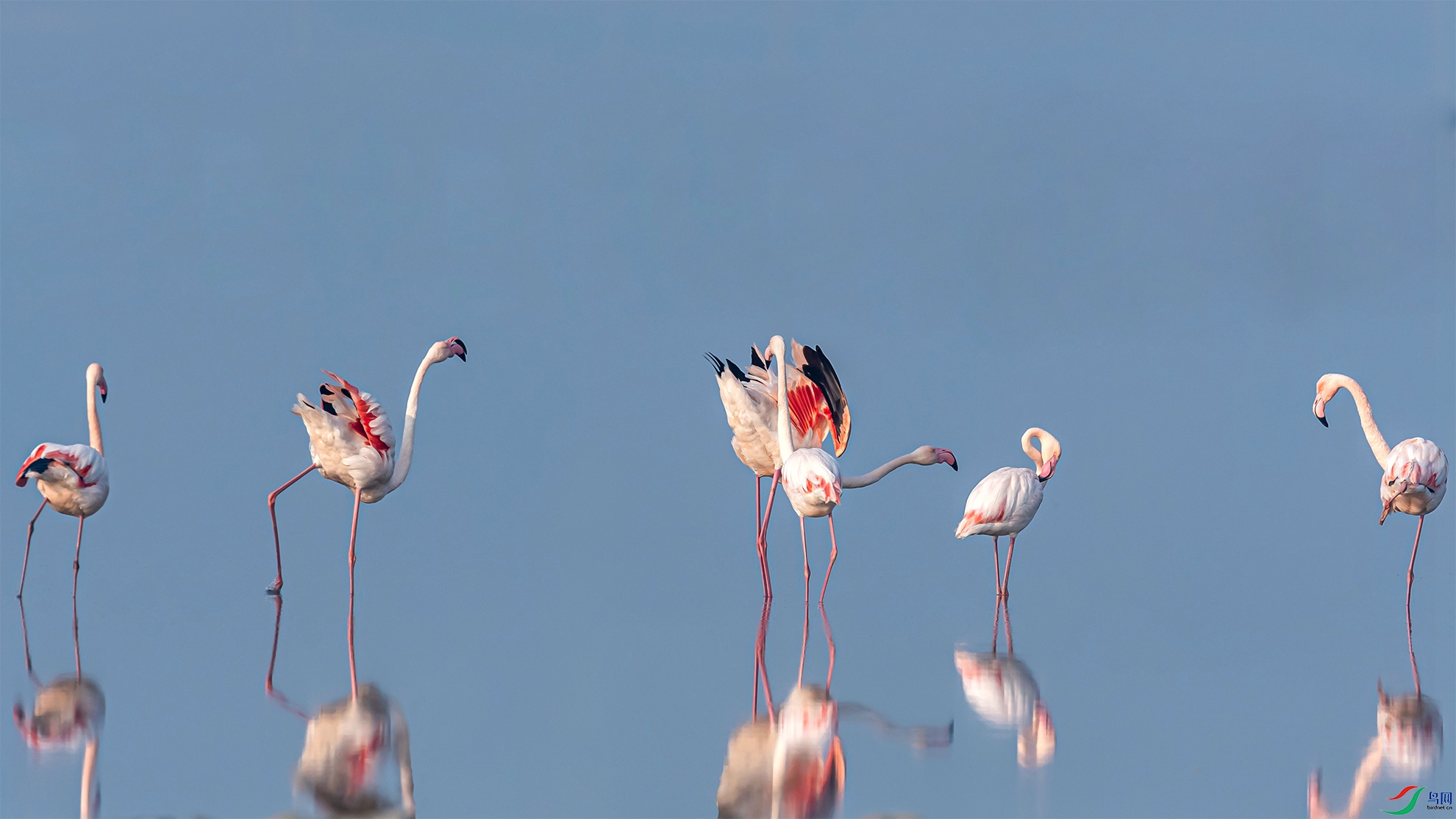 _DSC6616-1_.jpg