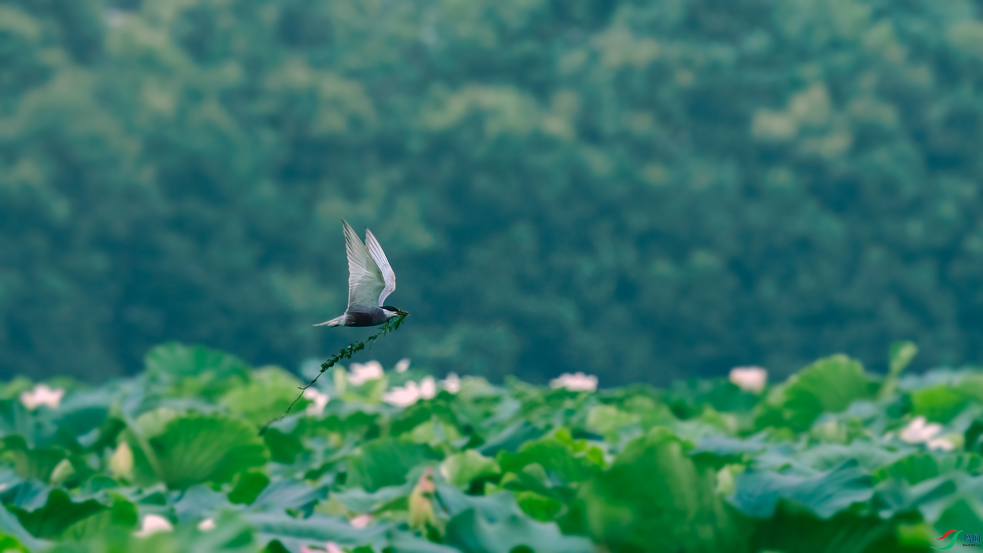 _DSC4665x.jpg