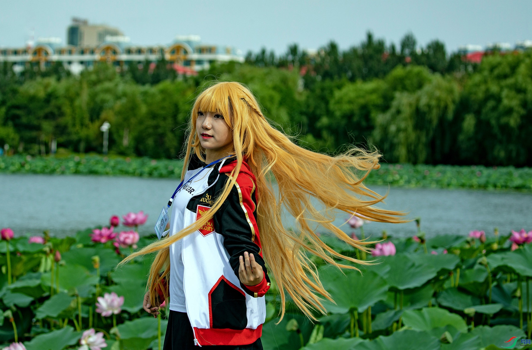 ��ɫ�껪 (2).jpg