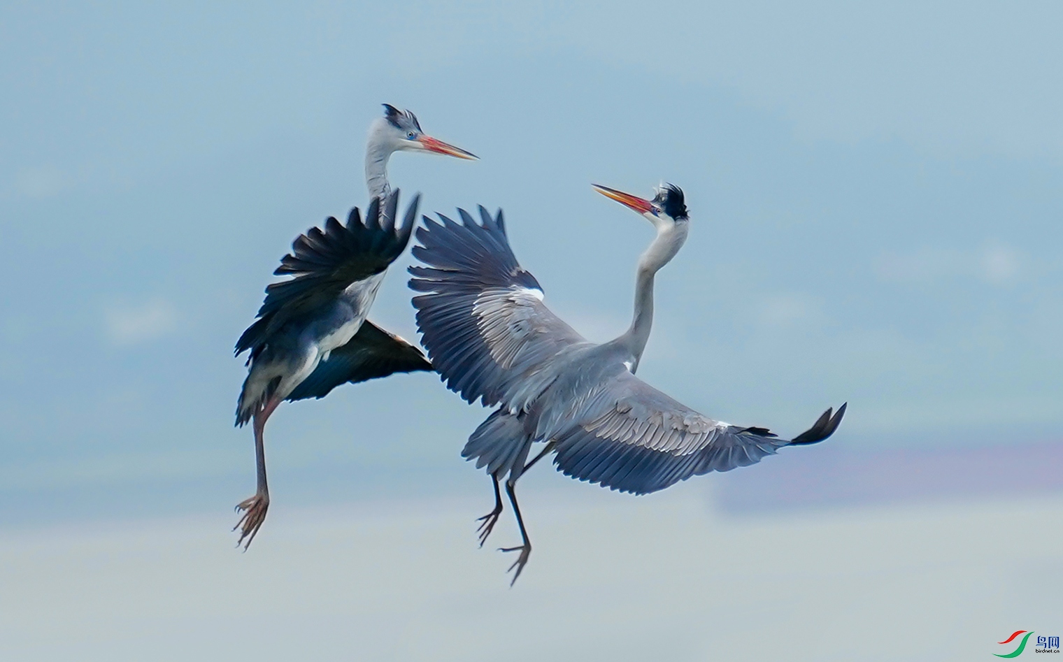 ����ͬ��