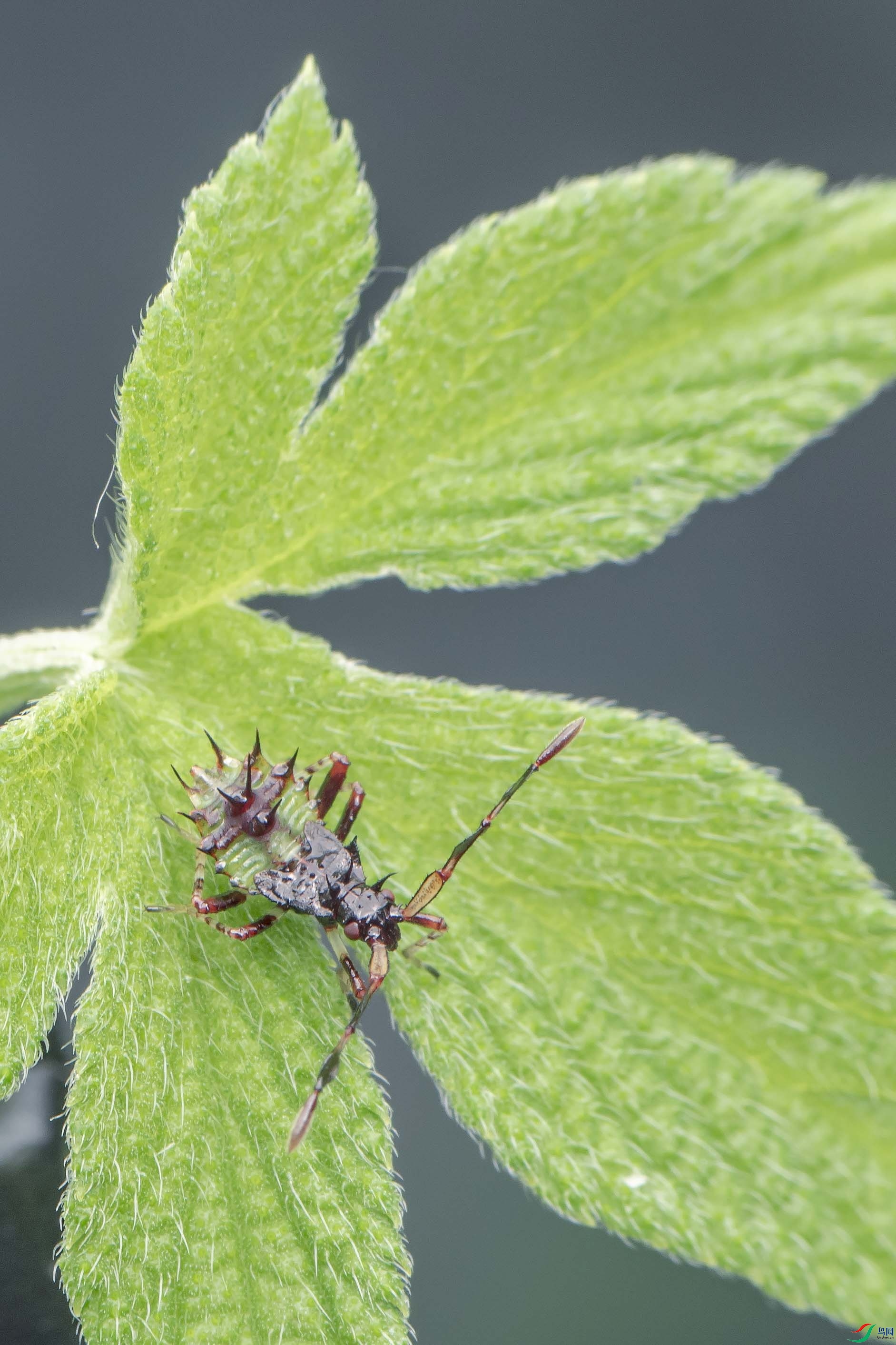 DSC_4053.jpg