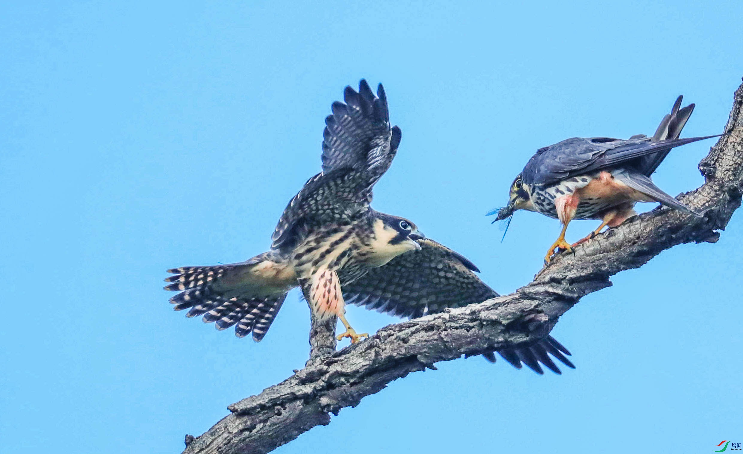 ����24 (1 - 1).jpg