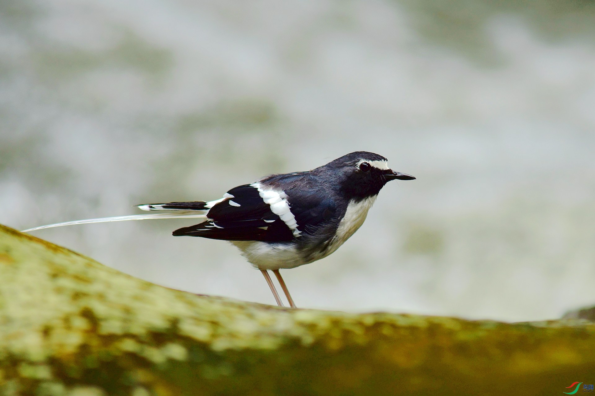 D8I_9267.jpg