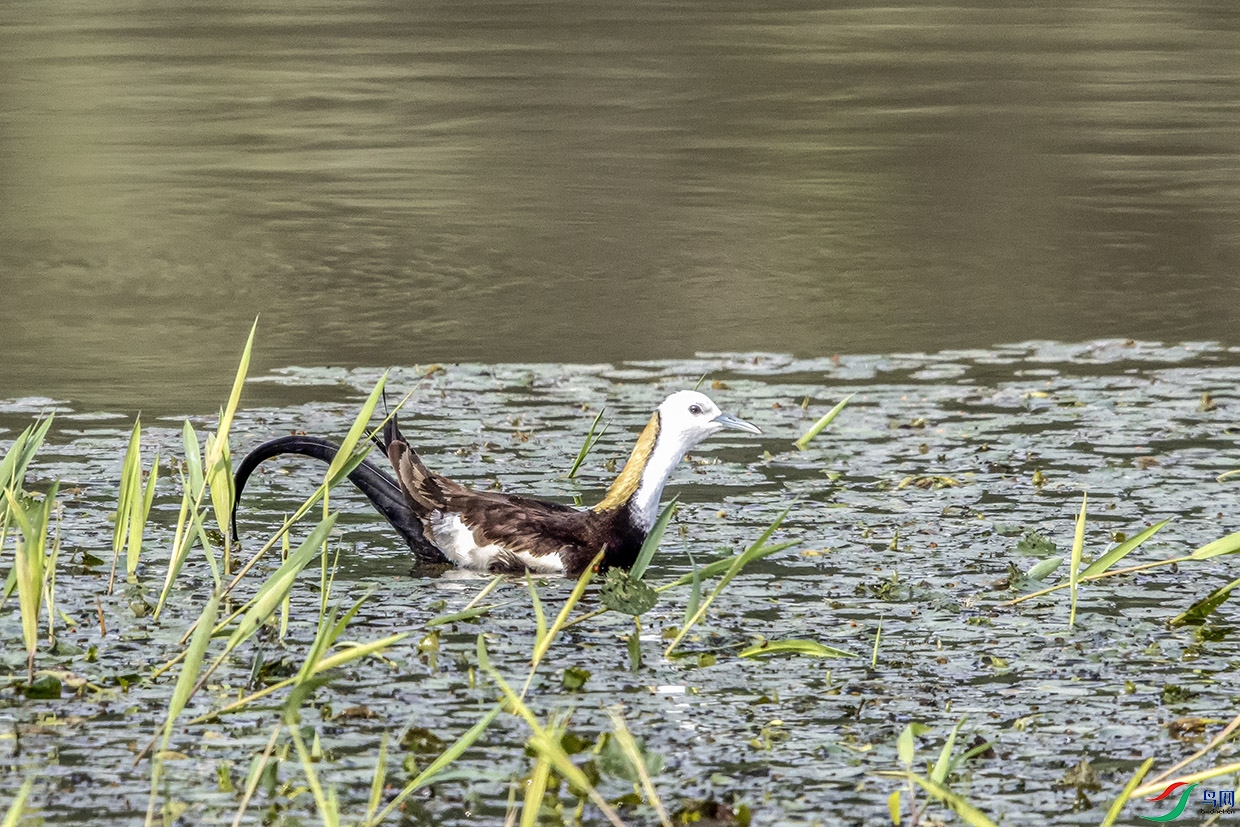 IMG_8109X.jpg