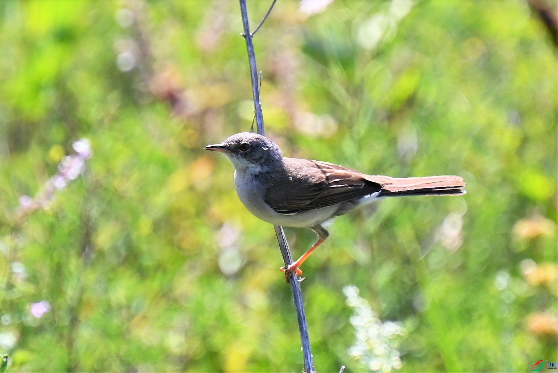 DSC_8819.jpg