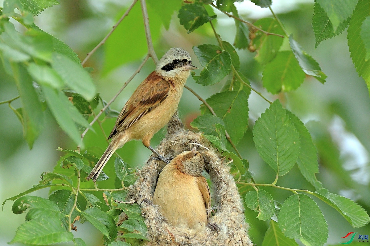DSC_5882.JPG