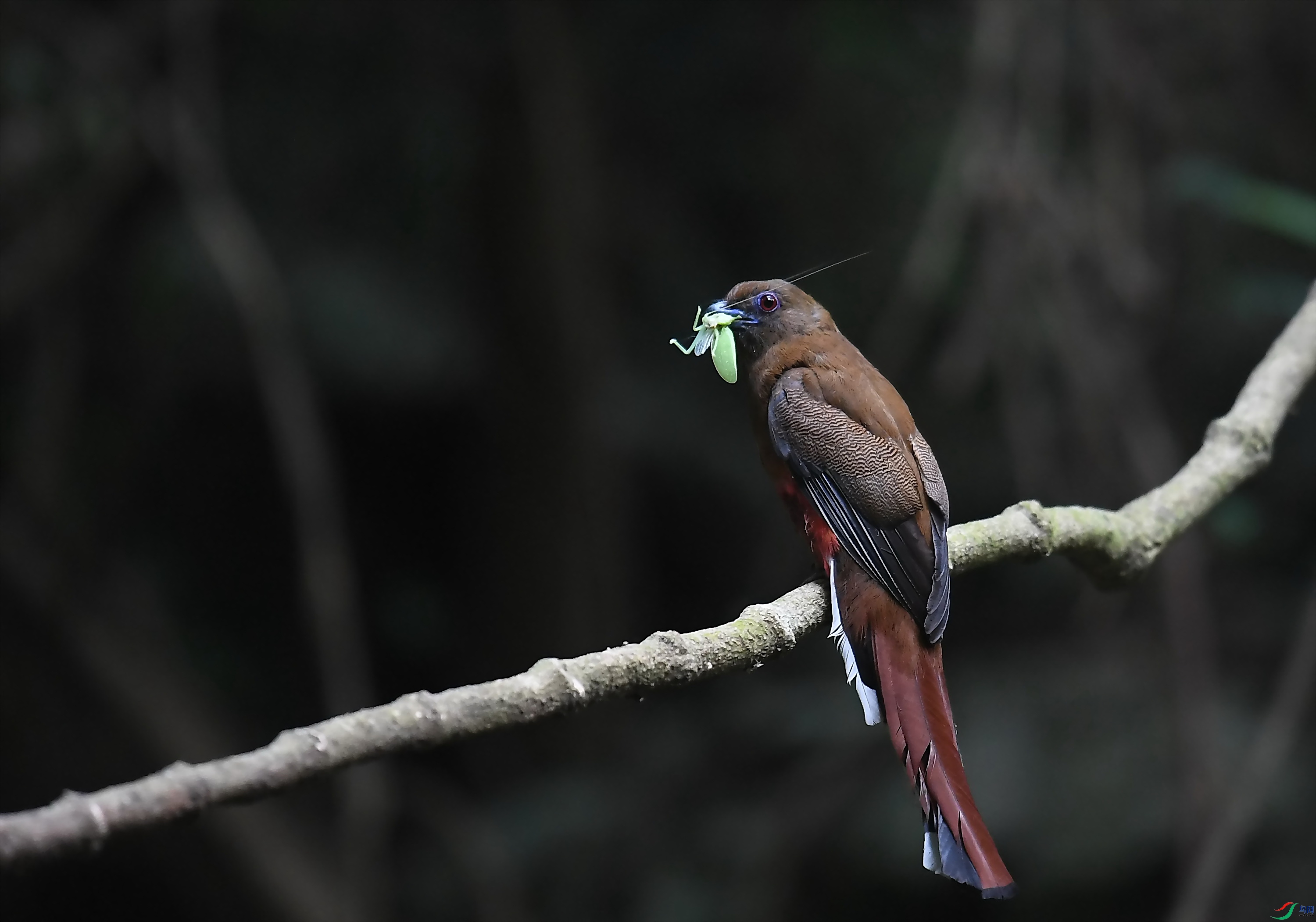 DSC_1794_����.jpg
