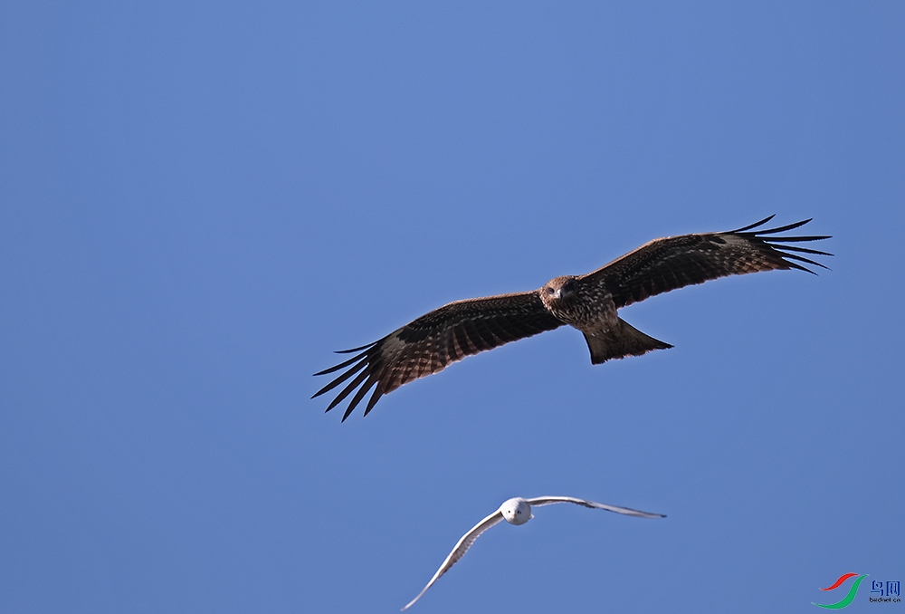 DSCF5576.1.jpg