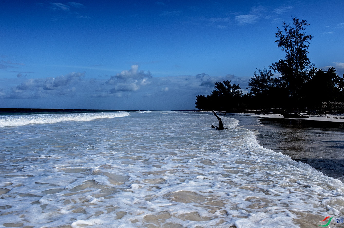 东非蒙巴萨"印度洋西海岸"