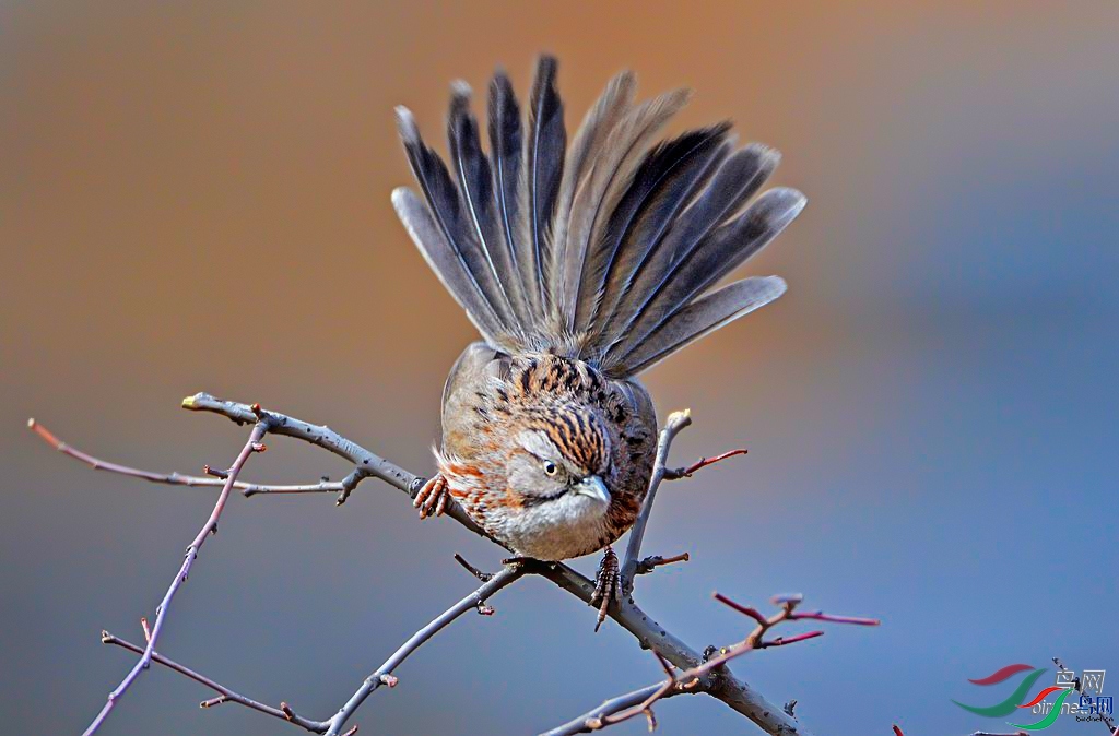 ��·  ��ʦ�����ڱ������Գ�����.jpg