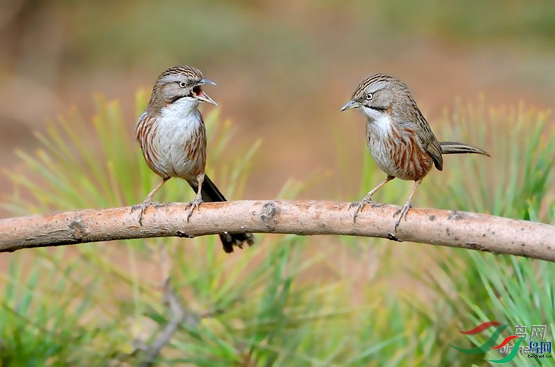 ��·  ��ʦ����.jpg