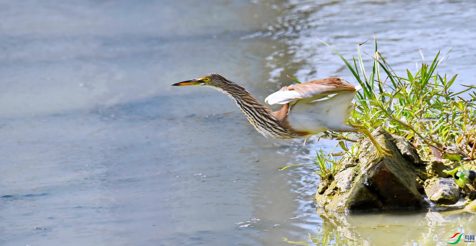 DSC_5965a.jpg