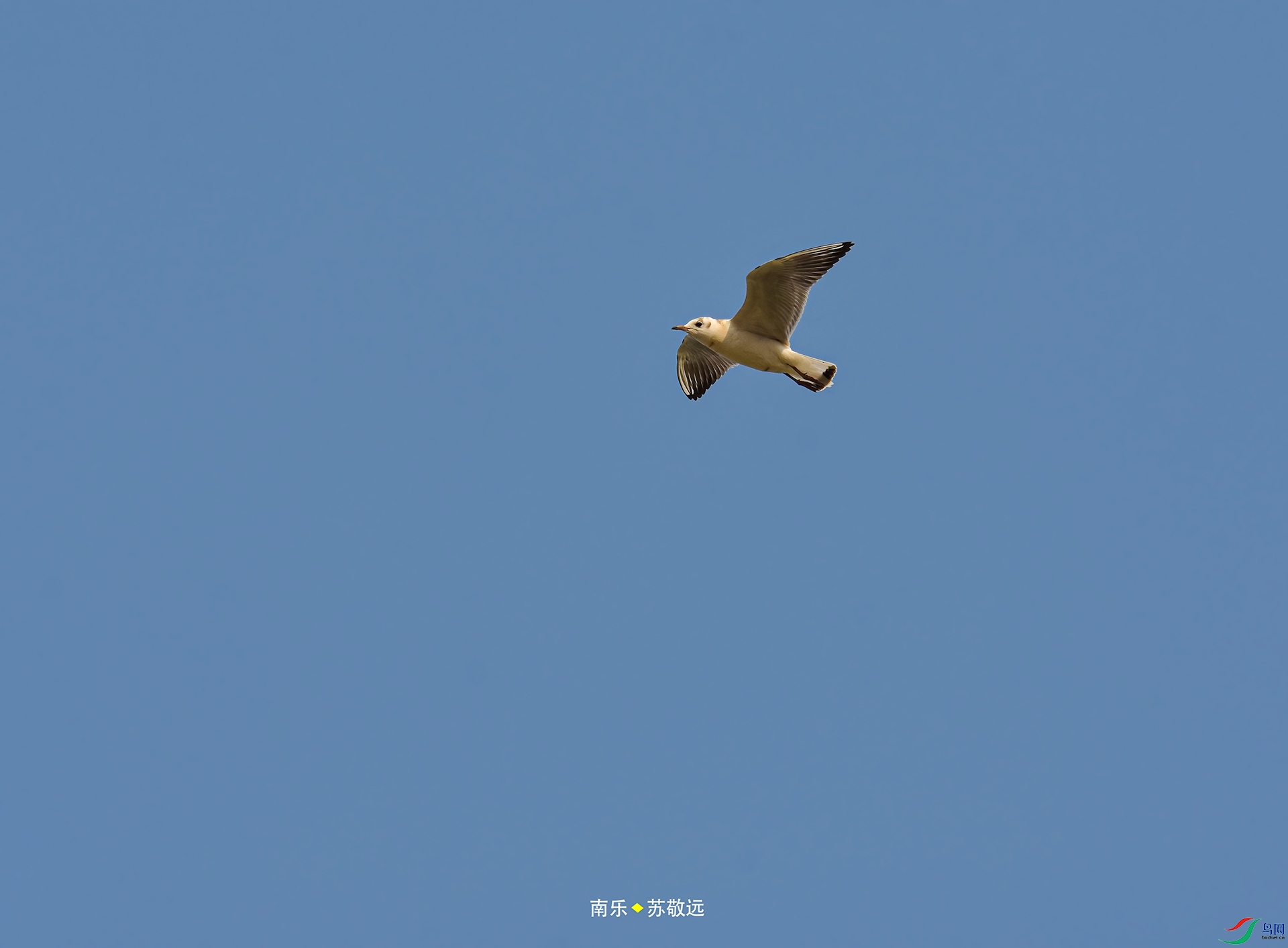 _DSC3356С.jpg