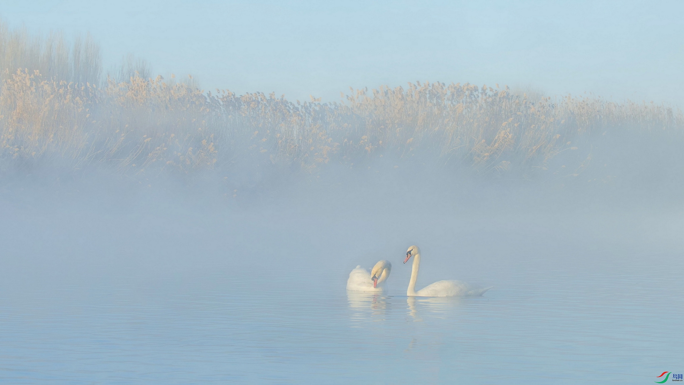 DSC-7180DF01C.jpg