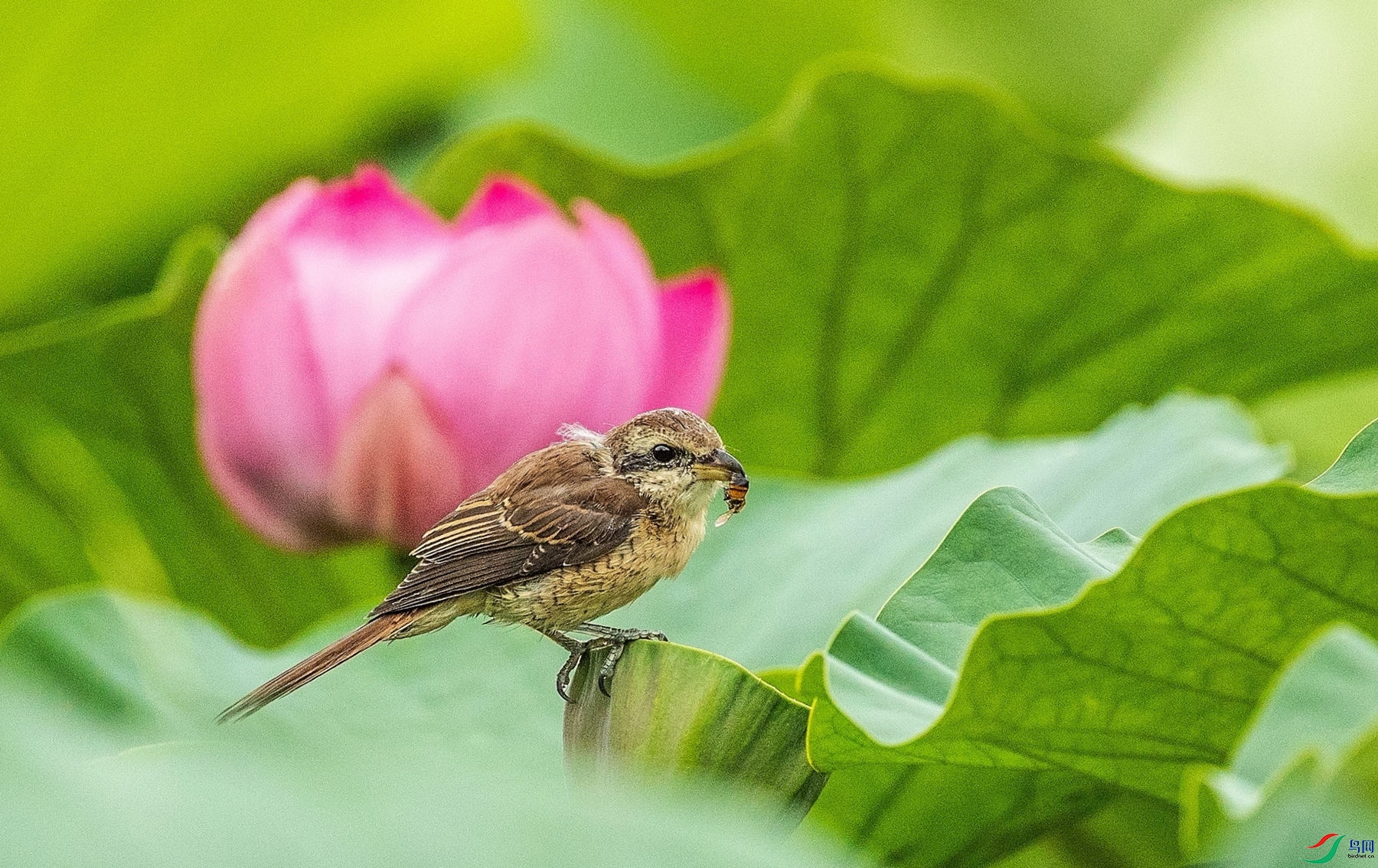 С���ʹ��� (2).jpg