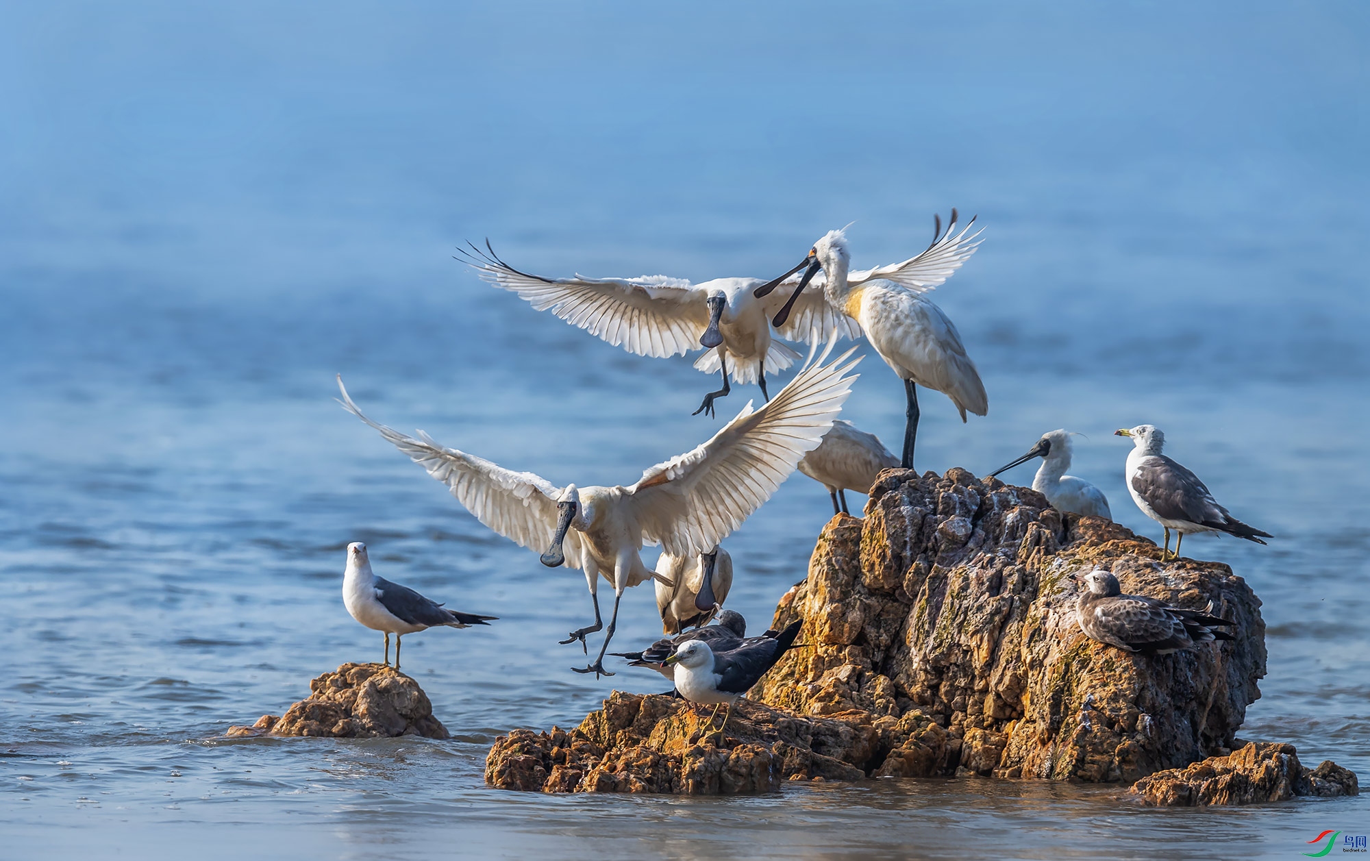 ��������