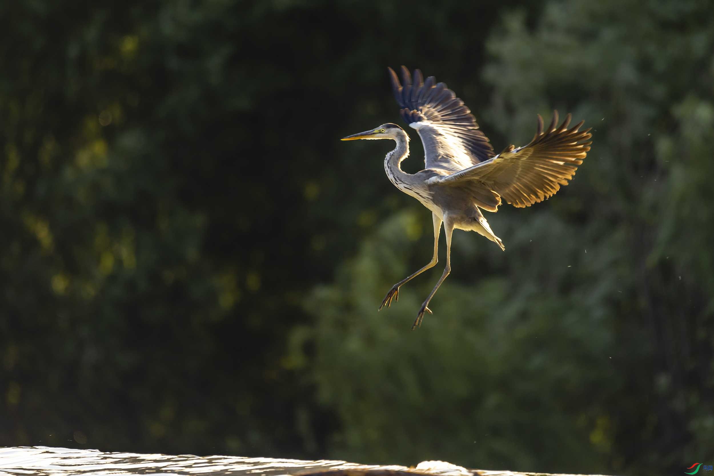 278A9502 ����.jpg