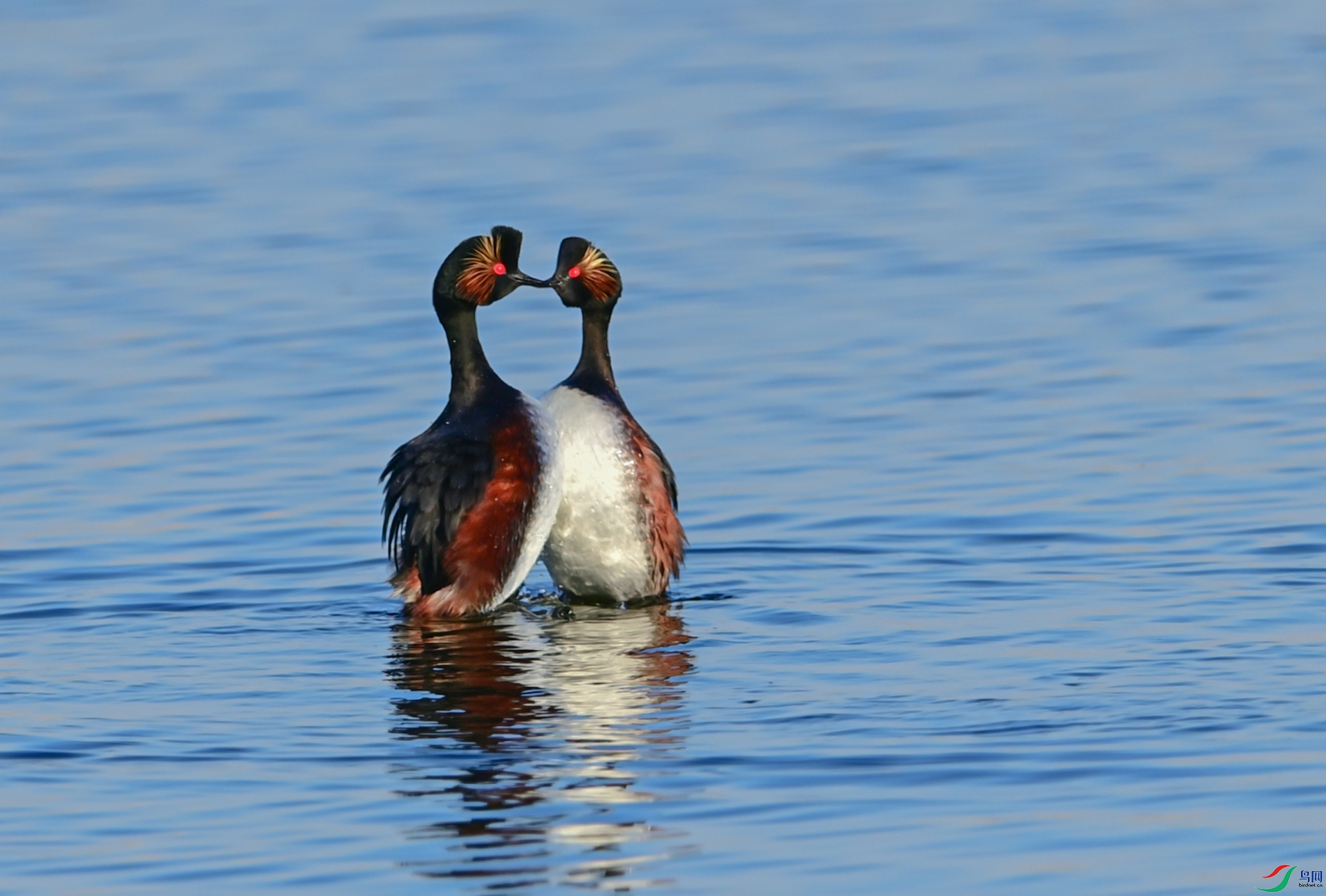 ������̤ˮ֮��