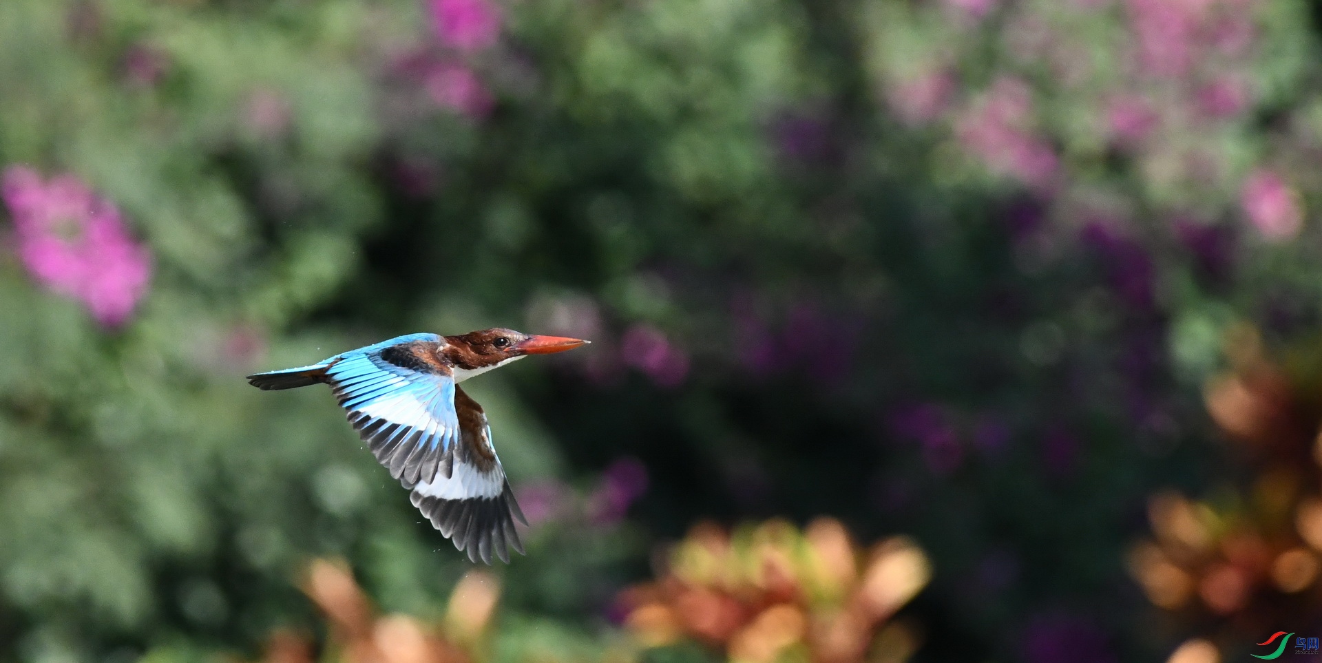 DSC_2358.JPG