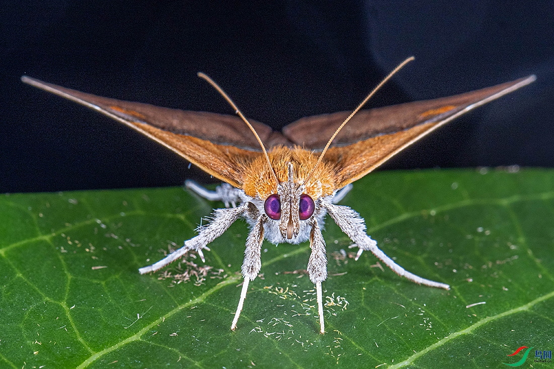 93P1A2461.jpg