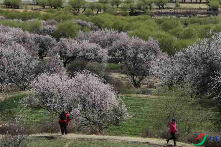 0S2A1566.JPG