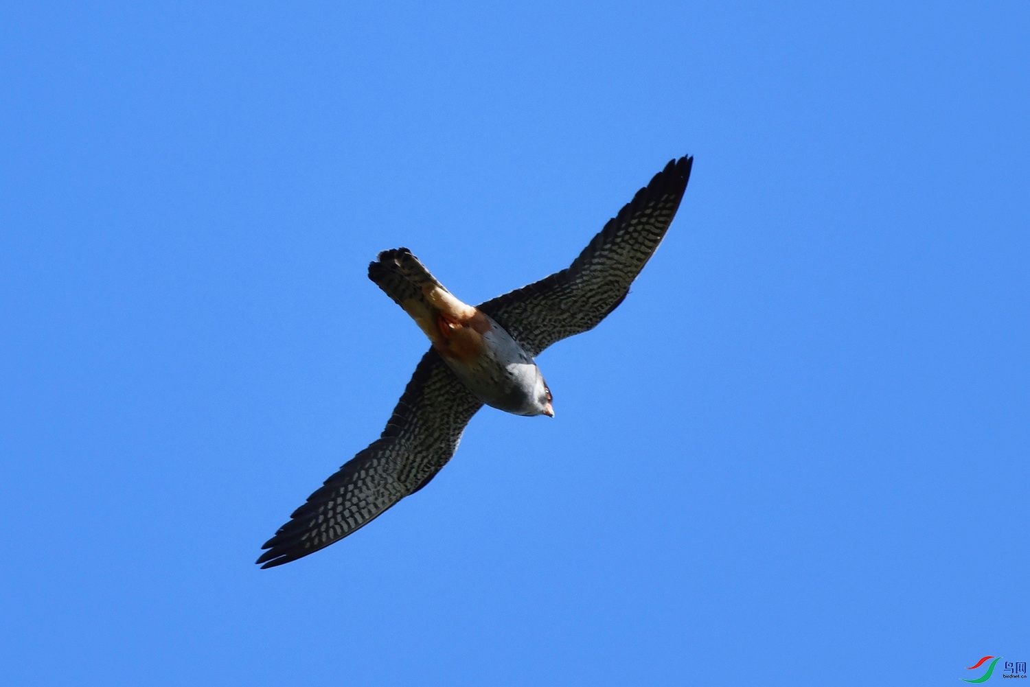 DSC_3362.jpg