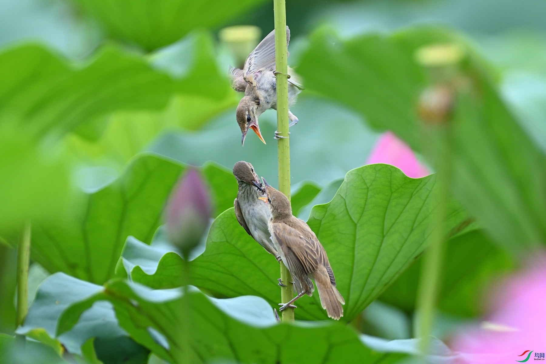 DSC_1015.JPG