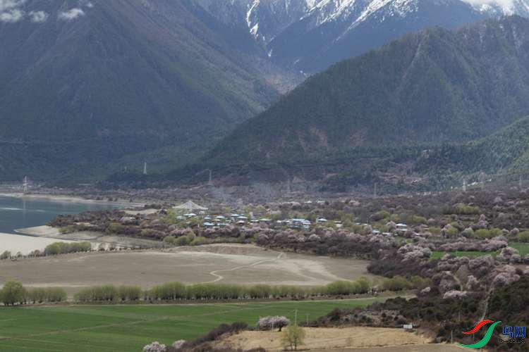 0S2A1732.JPG