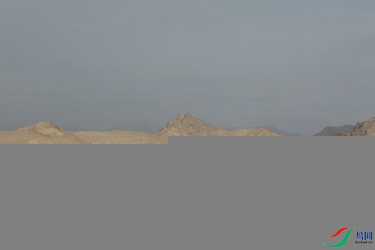 0S2A2307.JPG