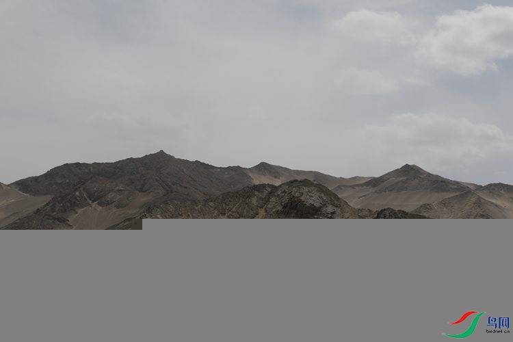 0S2A2226.JPG