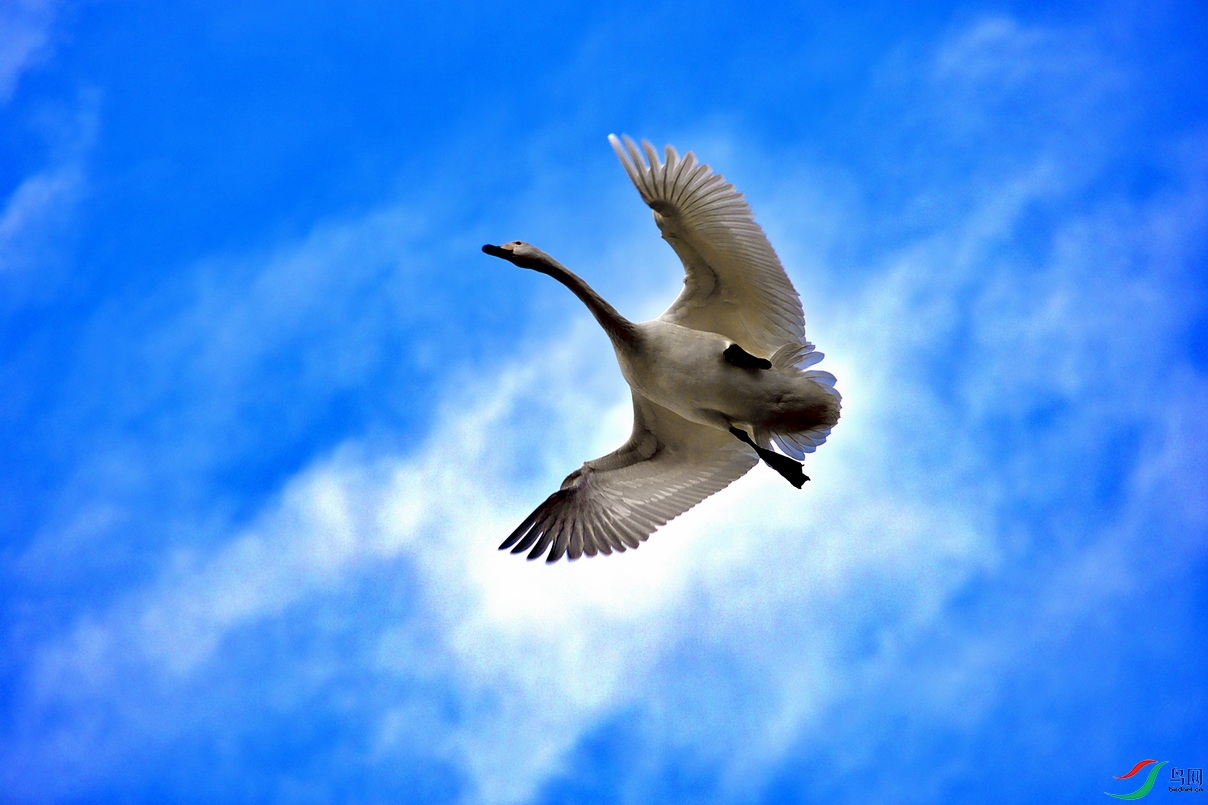 DSC_0119_dh_dh.jpg