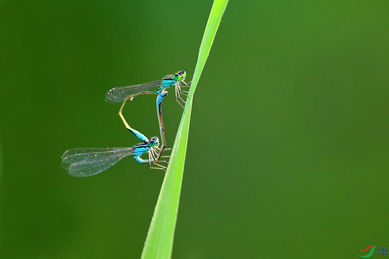 2021.8.16 (241)--.jpg