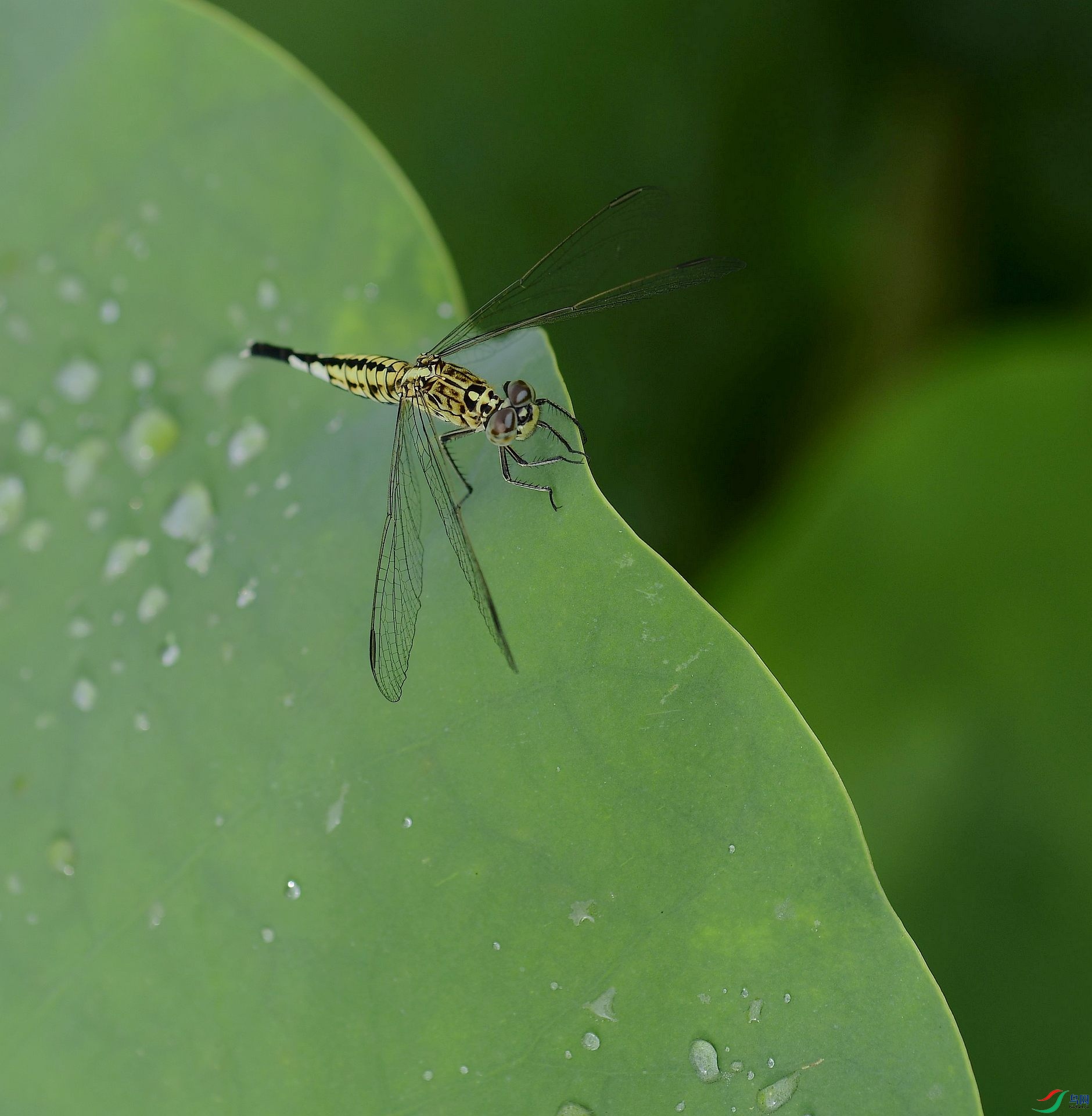 _D5D8782.jpg