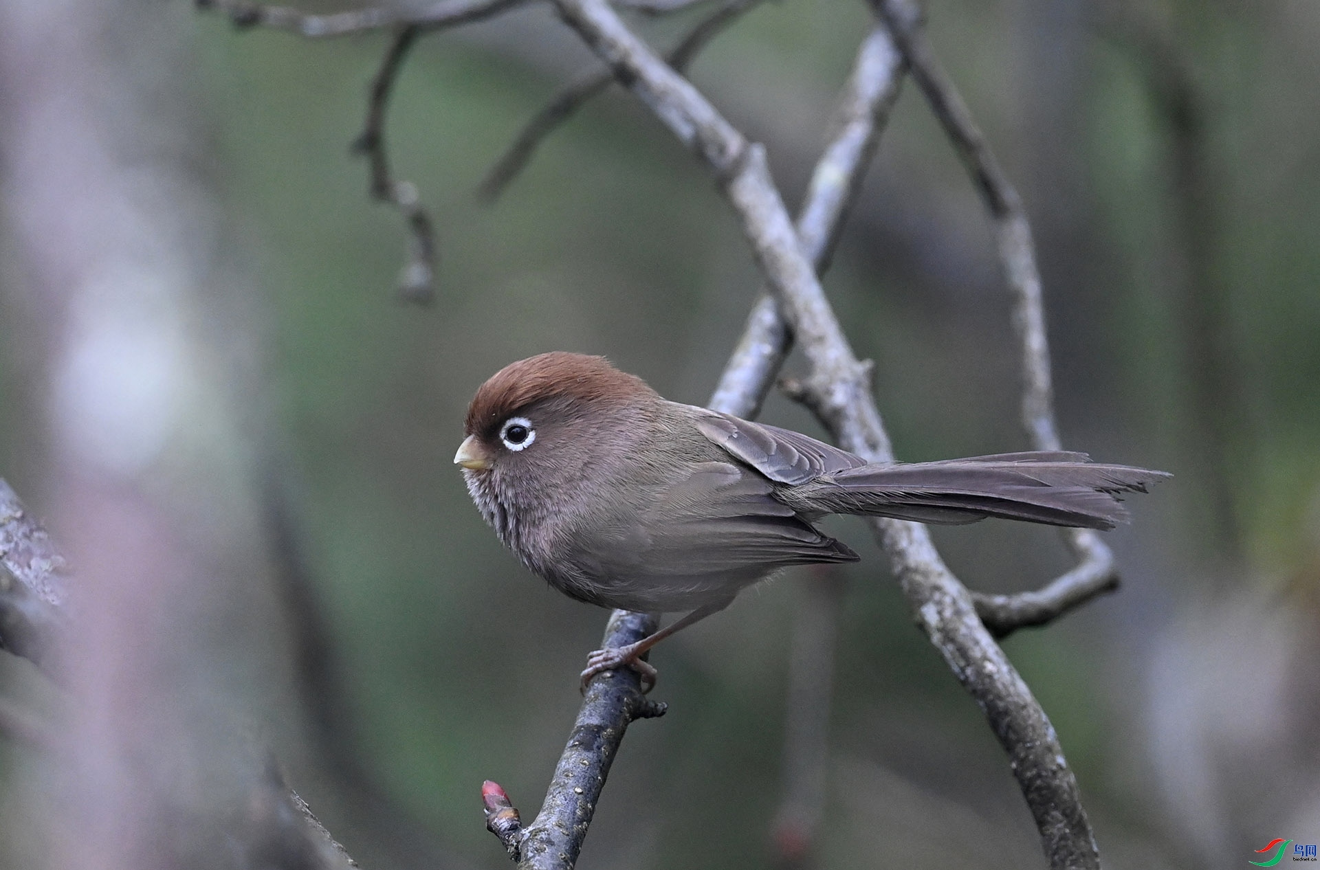 ����ϸ��  ��ʦ�������Ĵ�ʡ��Ԫ�� �ന���ƼҺӹ��Ҽ���Ȼ������.jpg