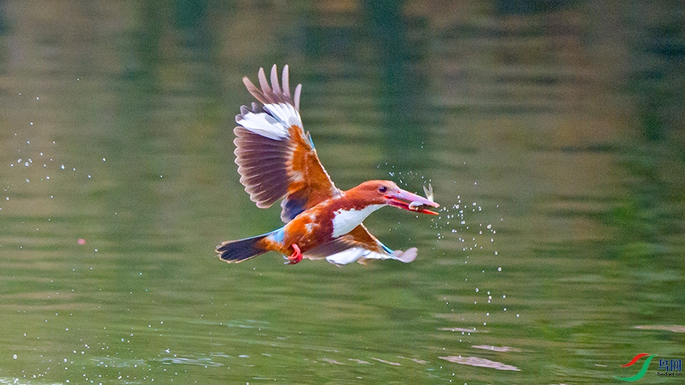 ��LPY_0473.jpg