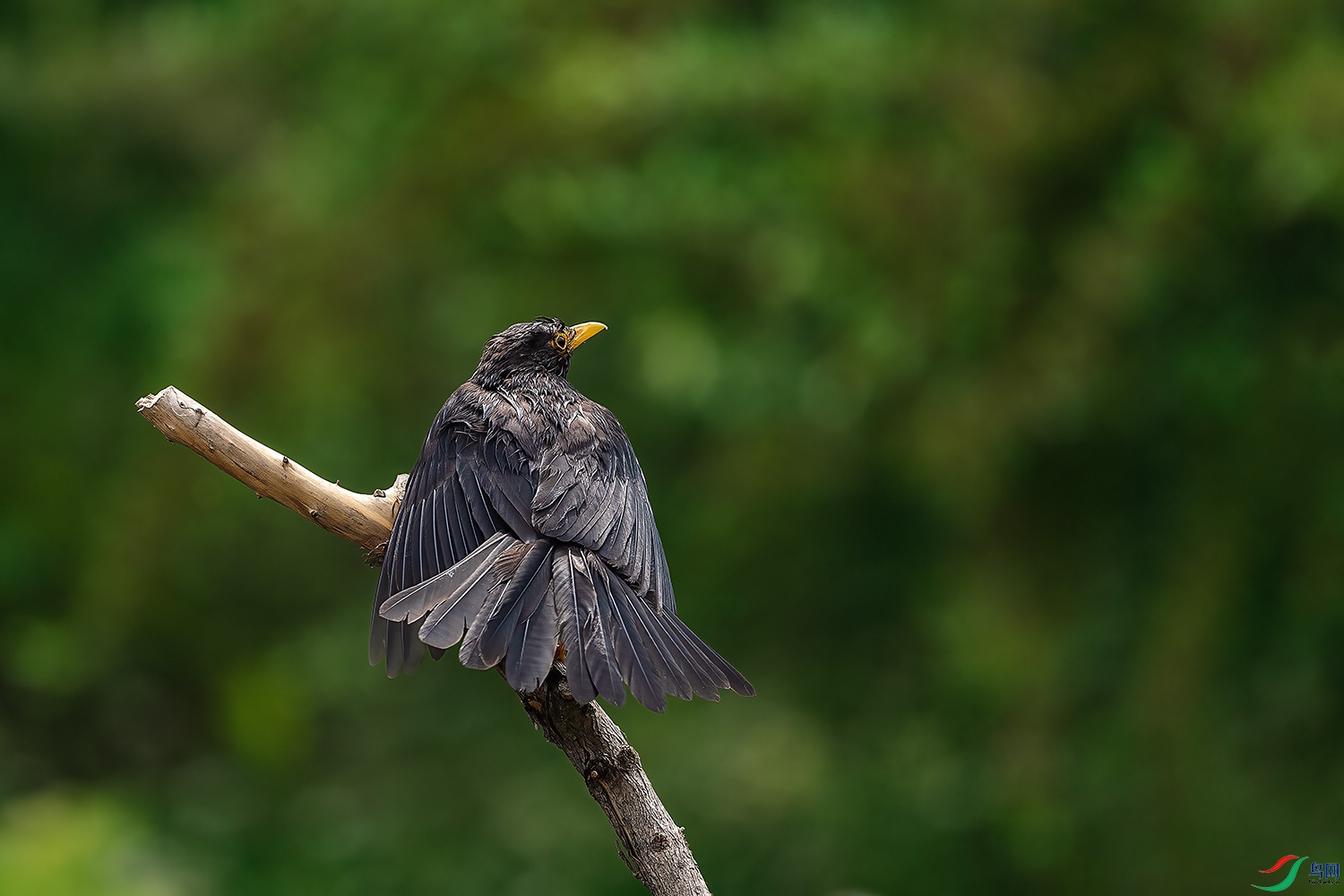 _DSC4249-2.jpg