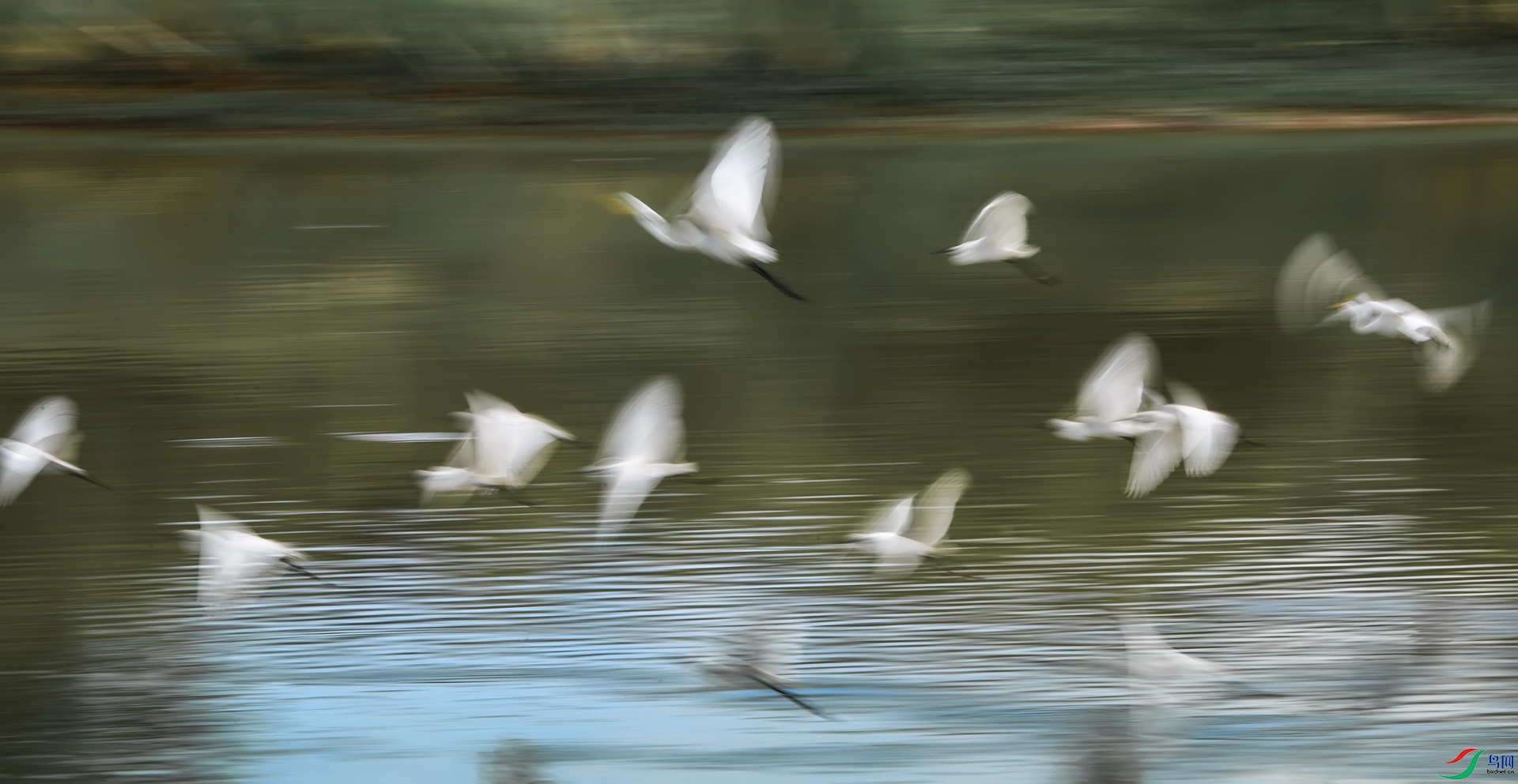 DSC_2503a.jpg