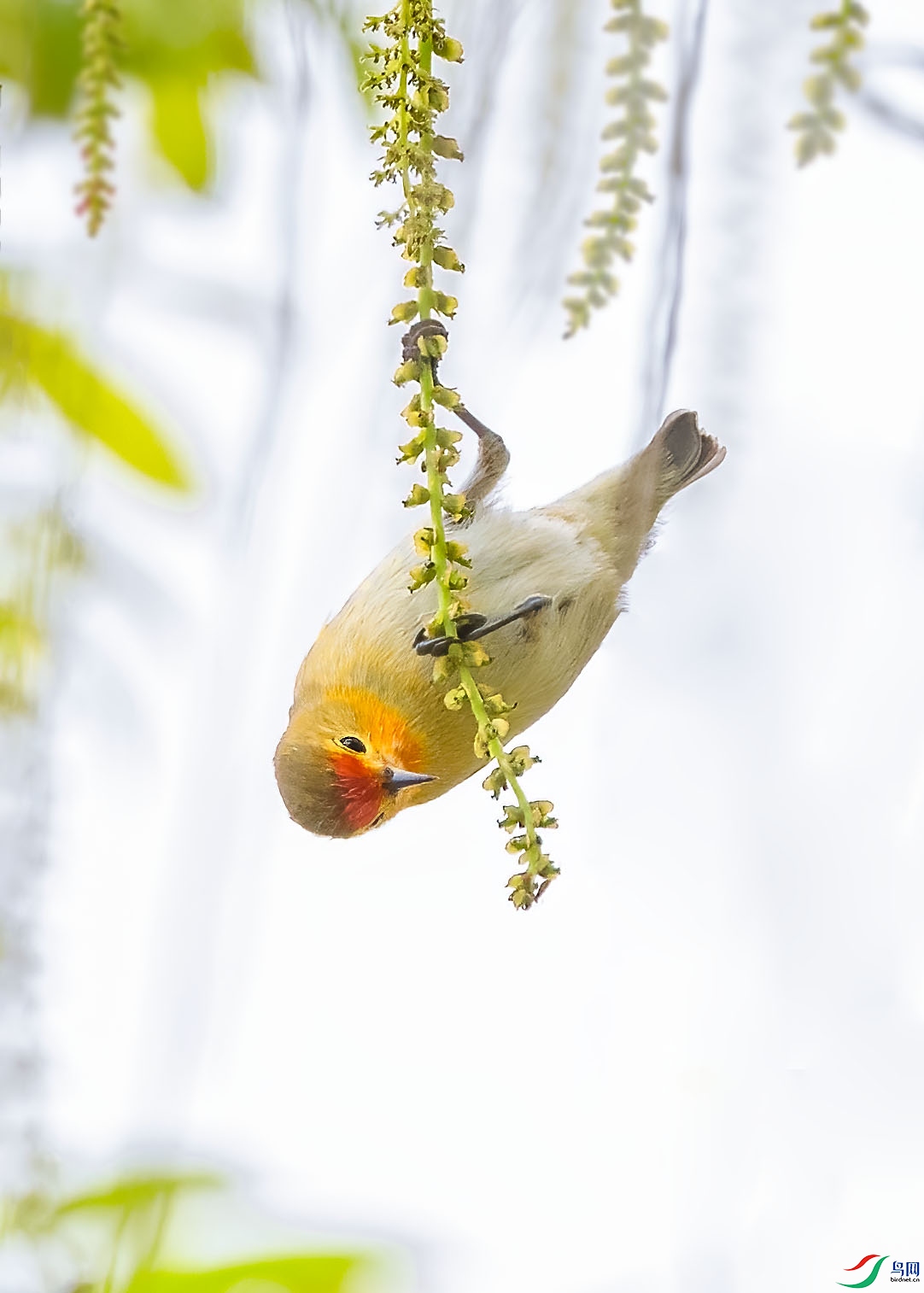 D5W_4095-1.jpg