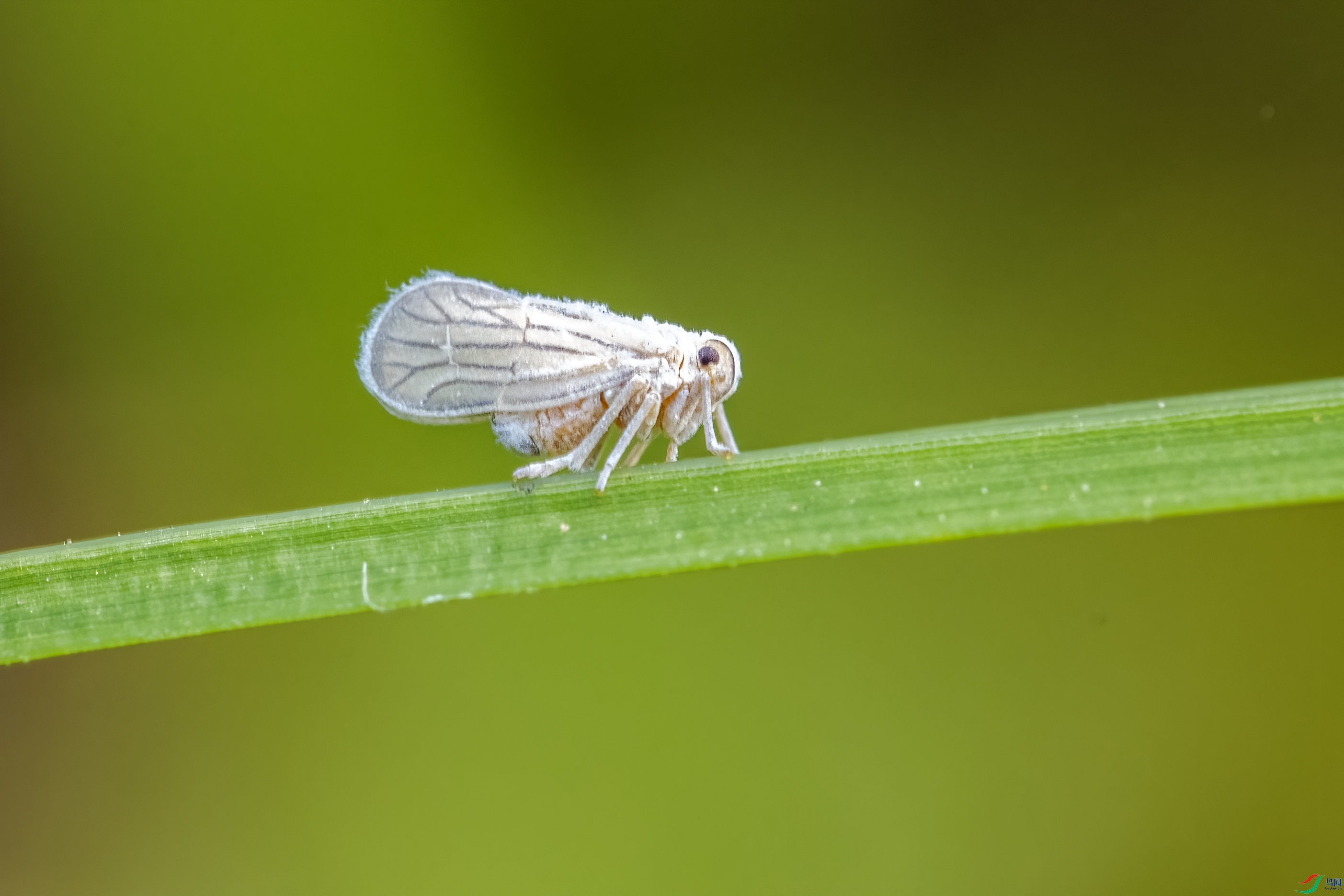 DSC_2758.jpg