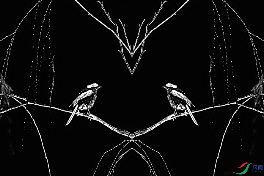 BW6I2908_����_����2_����1_����.jpg