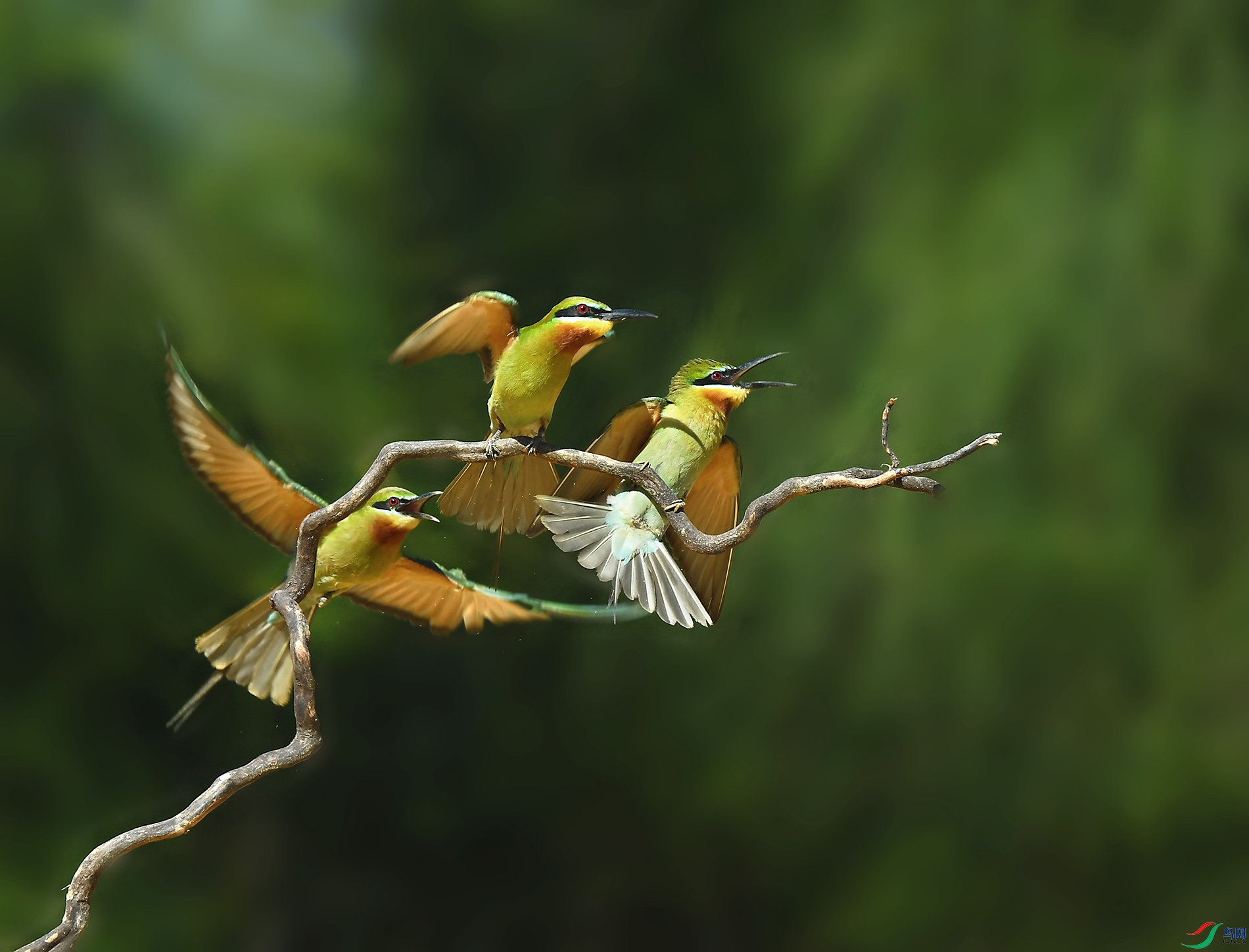 DSC_7165--3����.jpg