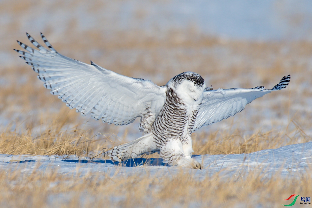 DSC_1365--.jpg