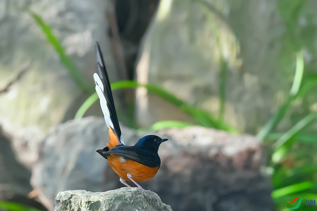 DSC_6551_DxOa.jpg