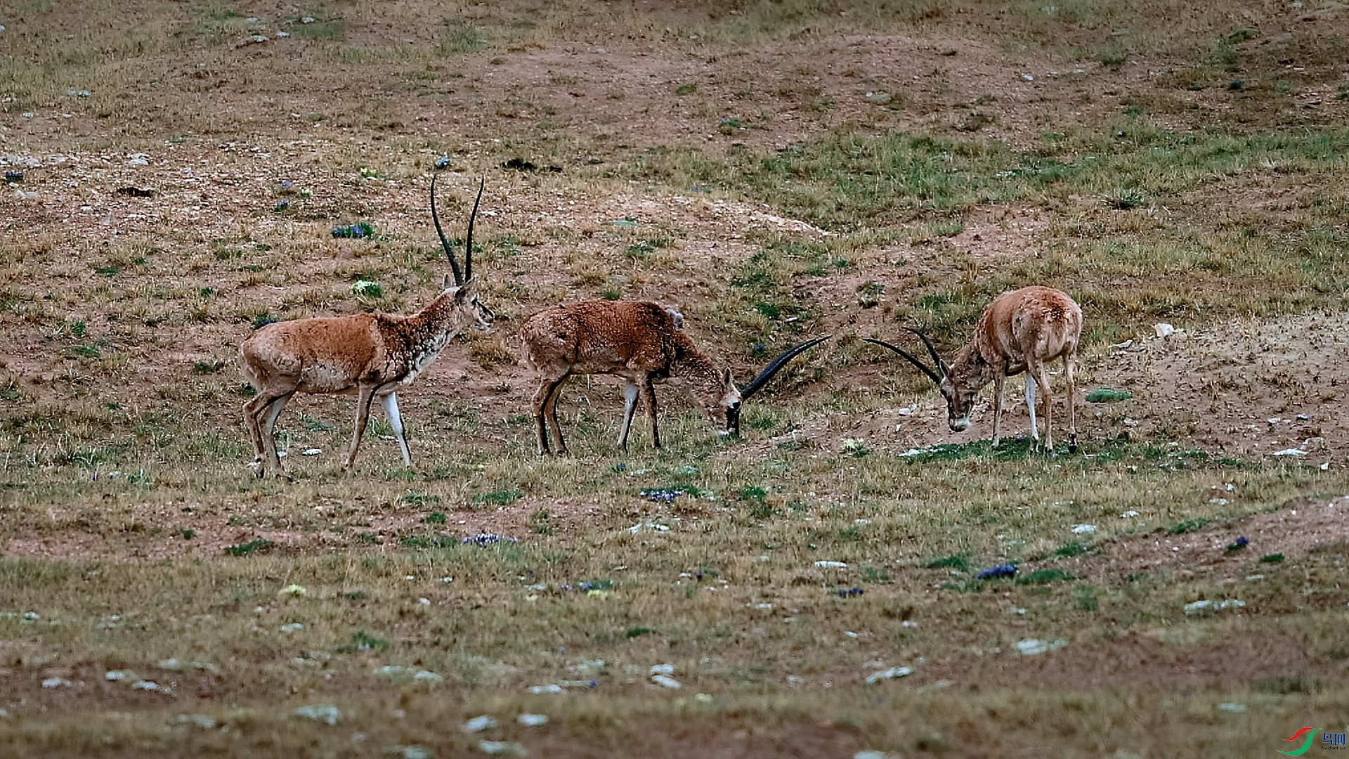 ������20210817-1.jpg