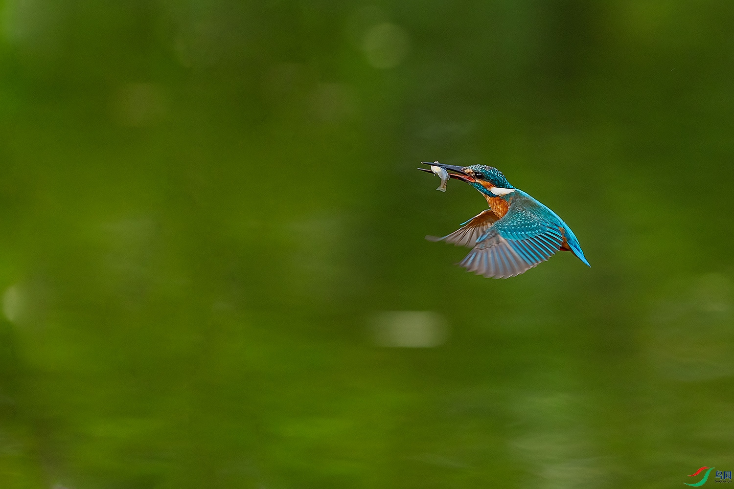 _DSC3958-2.jpg