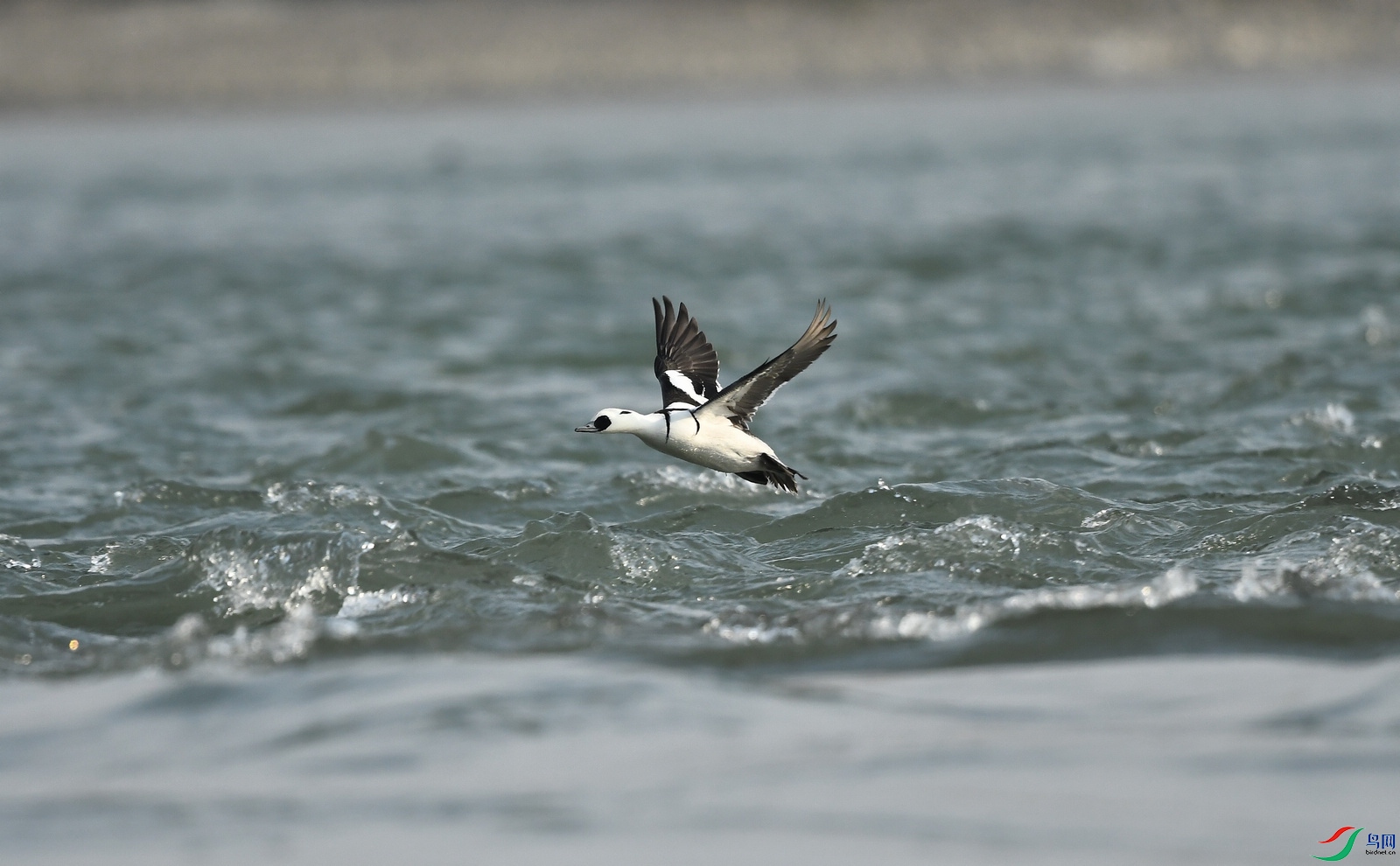 DSC_3272.JPG