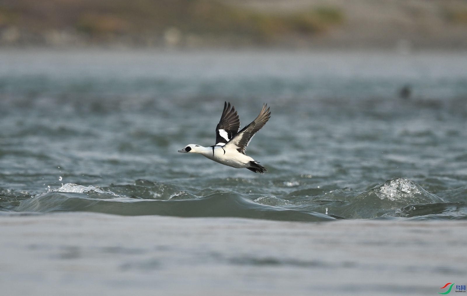 DSC_3277.JPG