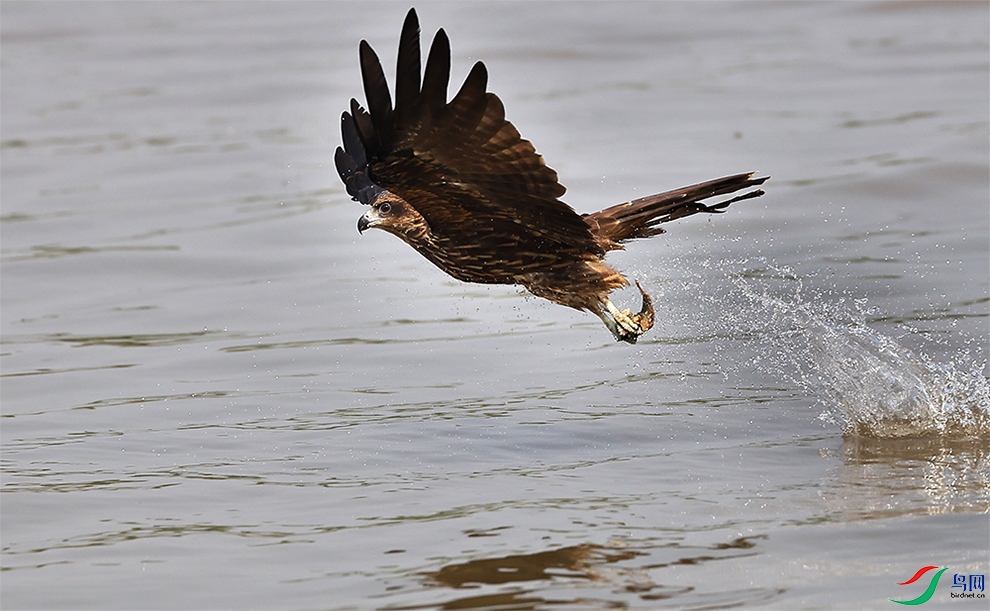 �������������ڶ������