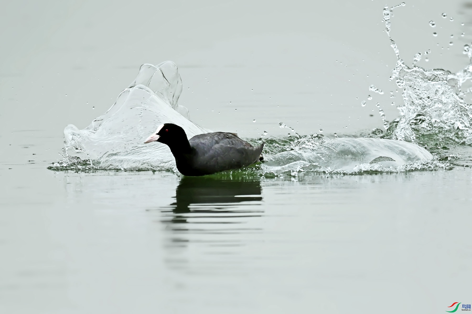 DSC_3108.jpg