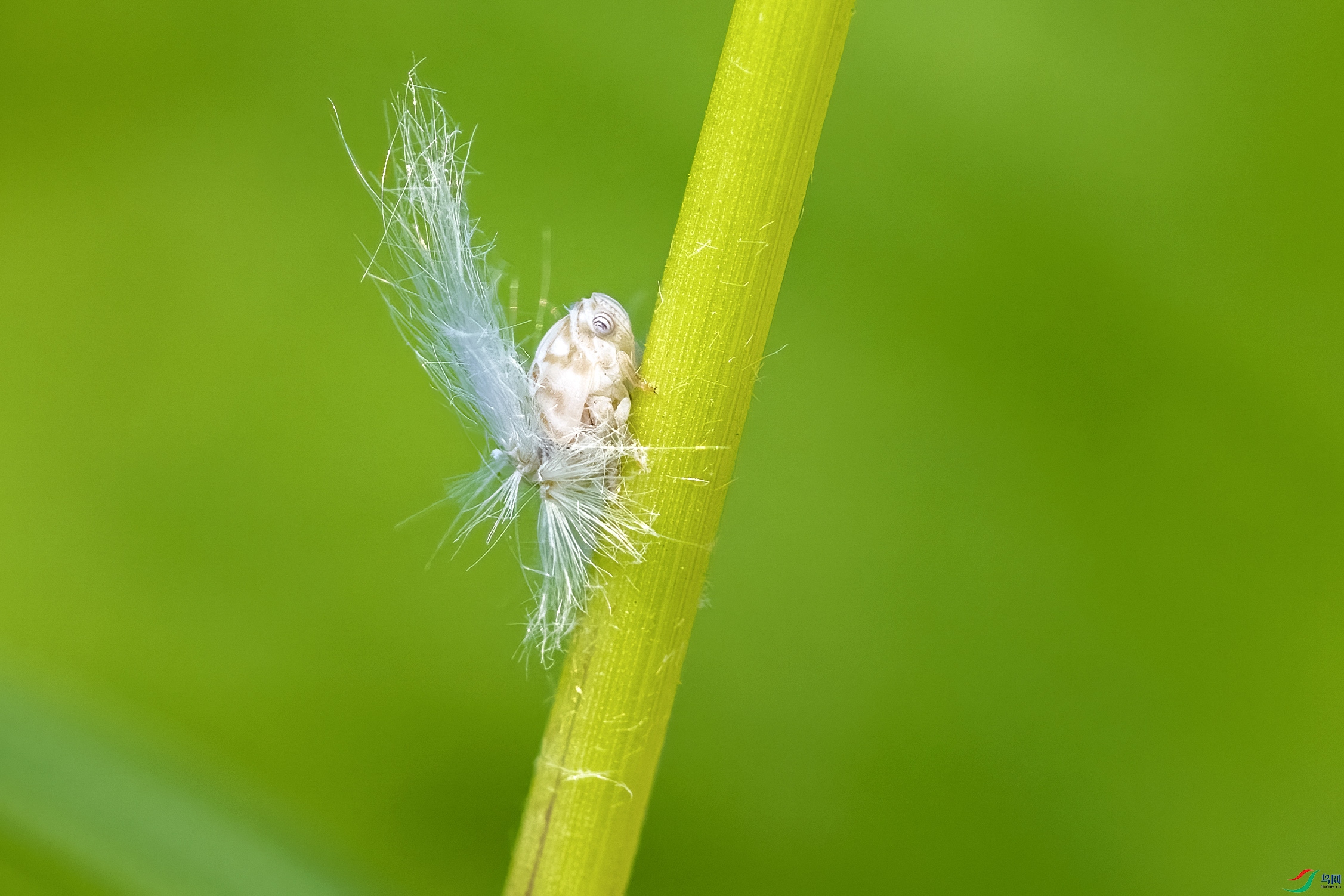 DSC_3747.jpg